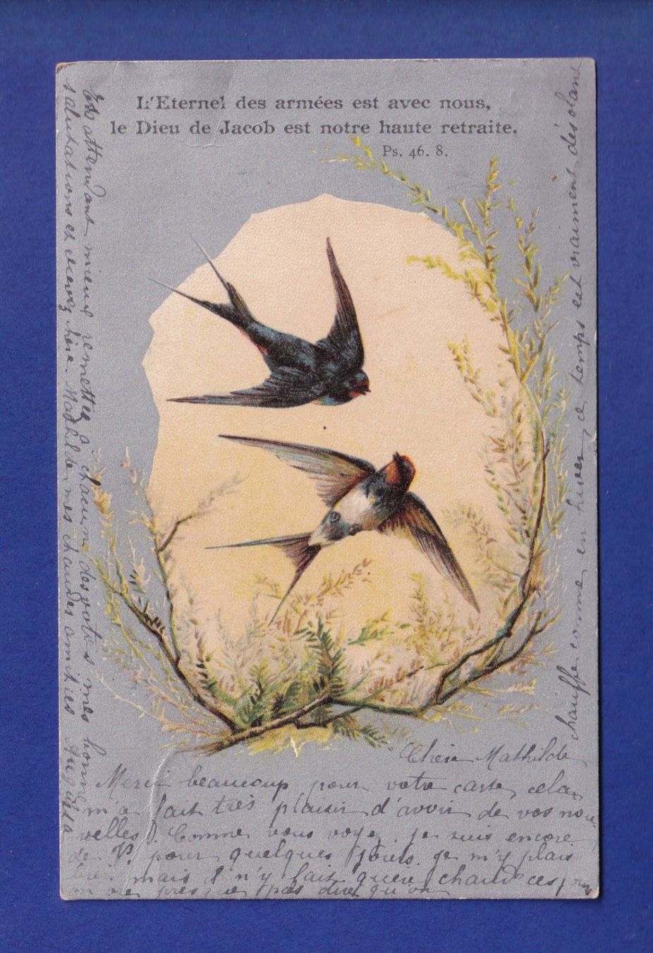 Cartoline postali: OISEAU - Hirondelles – Usato da Pully venduto da nicecards-shop