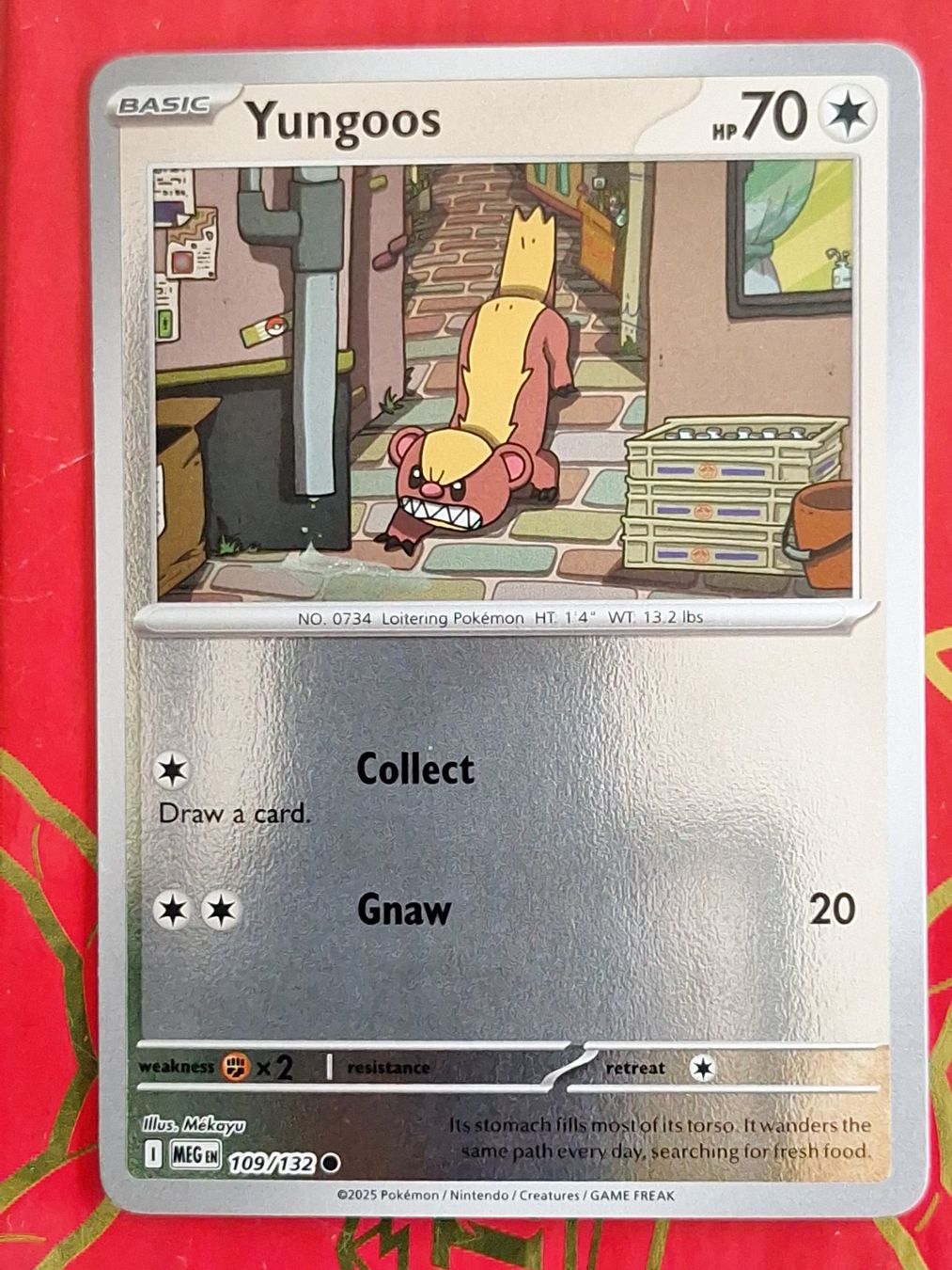 Pokémon Carte collezionabili: Yungoos - Reverse Holo Pokemon Mega Evolution – Usato da Altstätten SG venduto da GGsGameshop