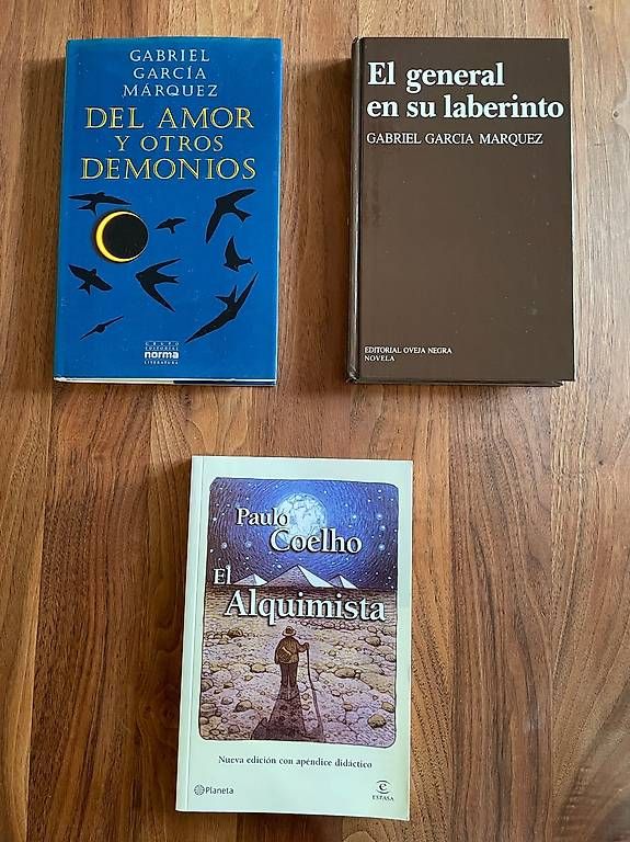 Libri: Bücher auf Spanisch / Libros en español – Usato da Schaffhausen venduto da mcr_n7qc