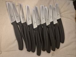 12stk victorinox küchenmesser