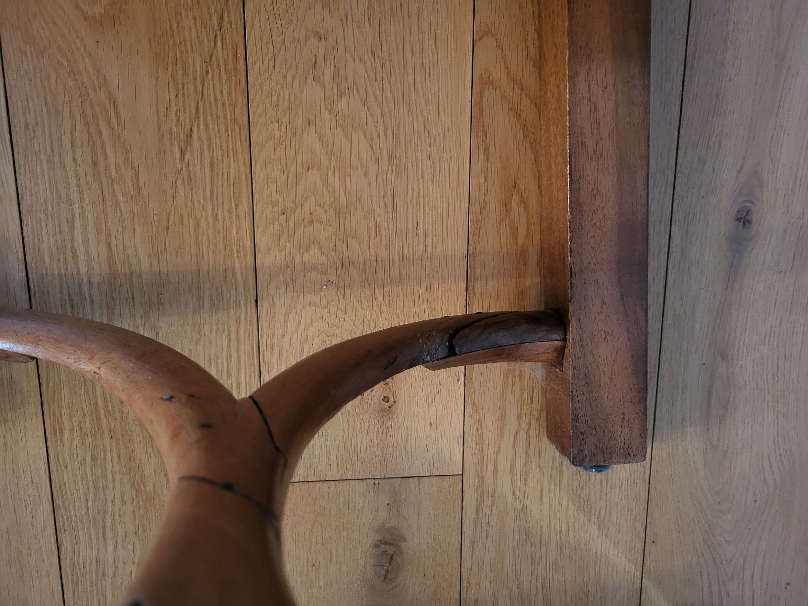 Sedie: Biedermeier Stuhl – Usato da Gutenswil venduto da ghekko88 6