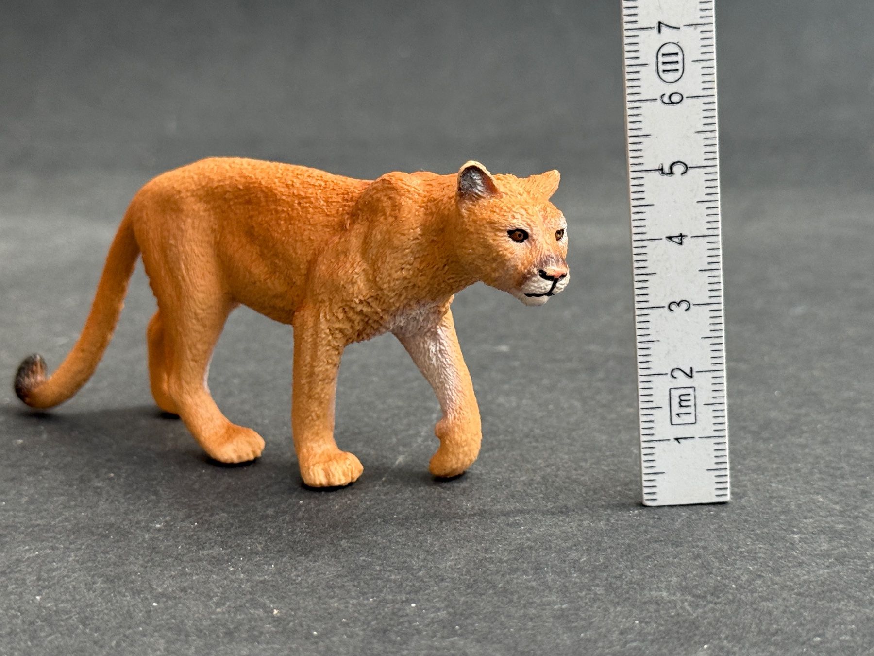 Schleich Statuette: Schleich Puma - wie neu – Nuovo (secondo la descrizione) da Ennetbaden venduto da mapa05 2