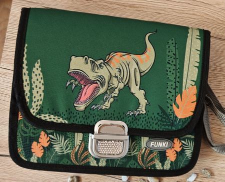 Kindergartentasche Funki Dinosaurier Motiv gebraucht