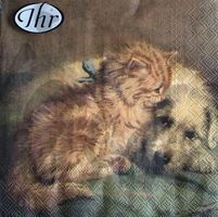 Serviette dog and cat (1038) 2Stk.