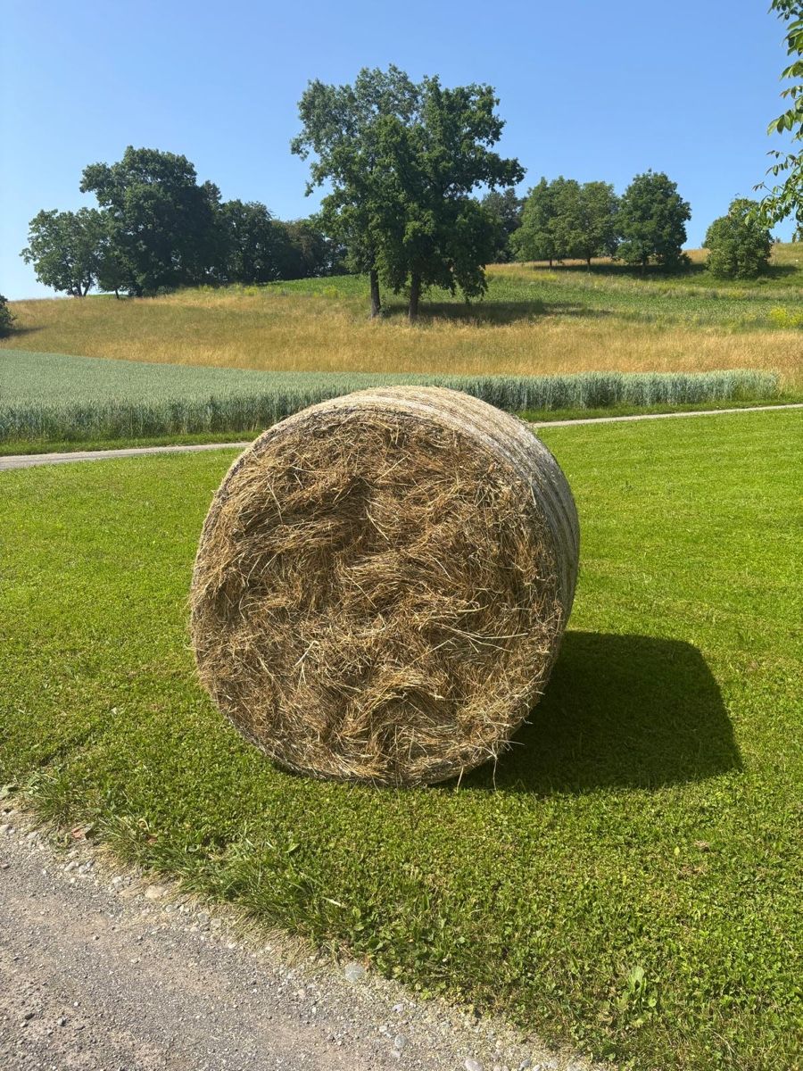 Futter: Heu Rundballen, Ernte 2024 – Neu und originalverpackt aus Bäretswil von mel_2xd5 1