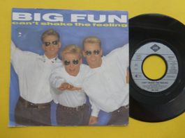 Big Fun – Can't Shake The Feeling