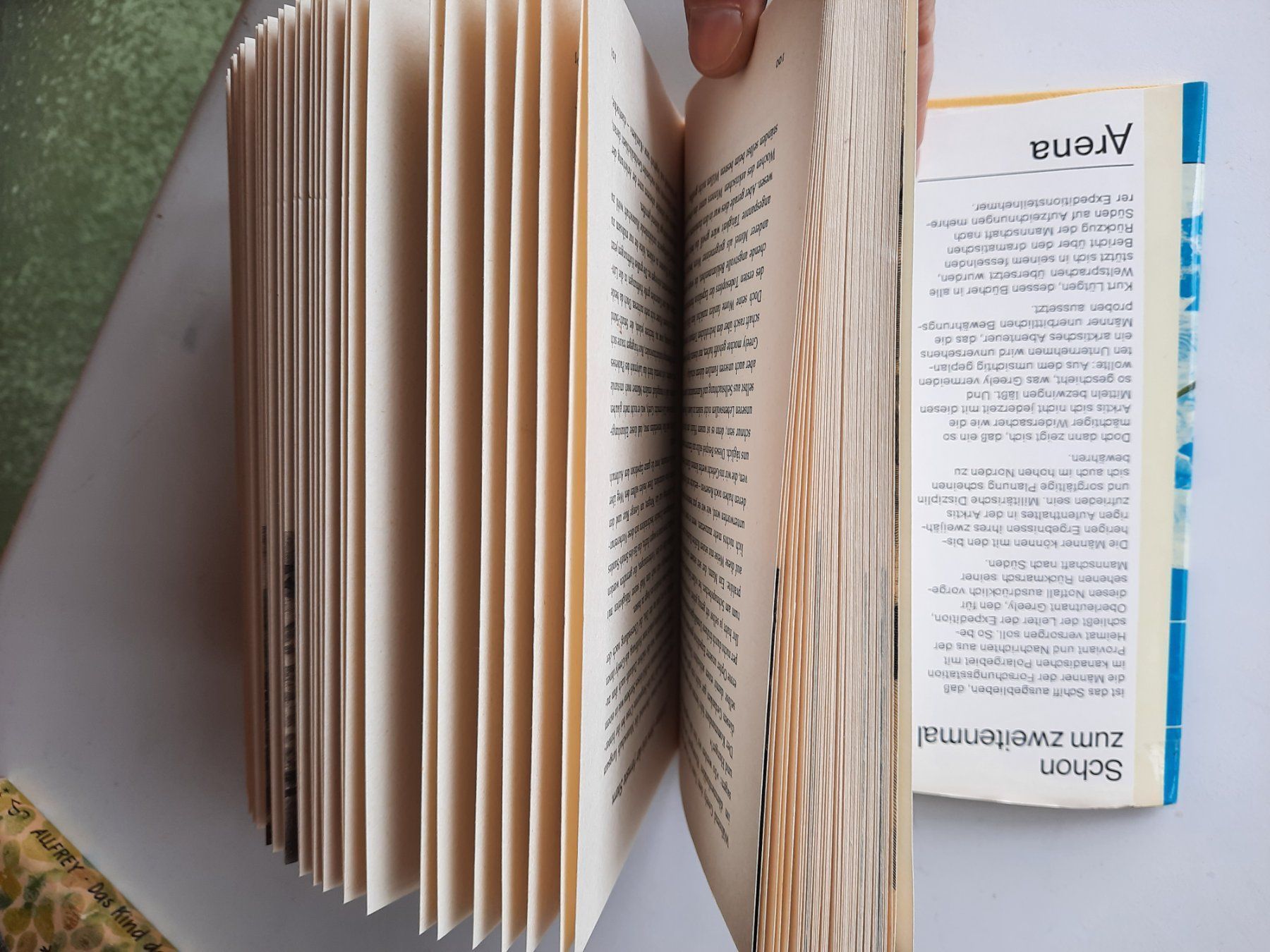 Libri: Roman; arktisches Abenteuer – Usato da Niederteufen venduto da Buecherwurm_70 1