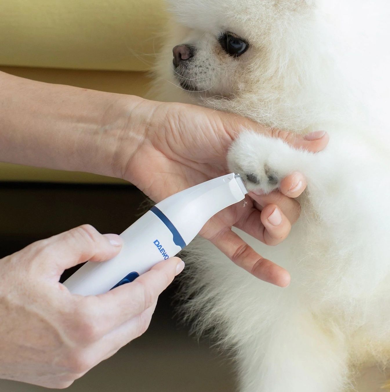 Prodotti per la cura & articoli per la pulizia: Daewoo 4-in-1 Multi-Funcional Grooming – Nuovo e nell'imballaggio originale da Hitzkirch venduto da Thali_AG 1