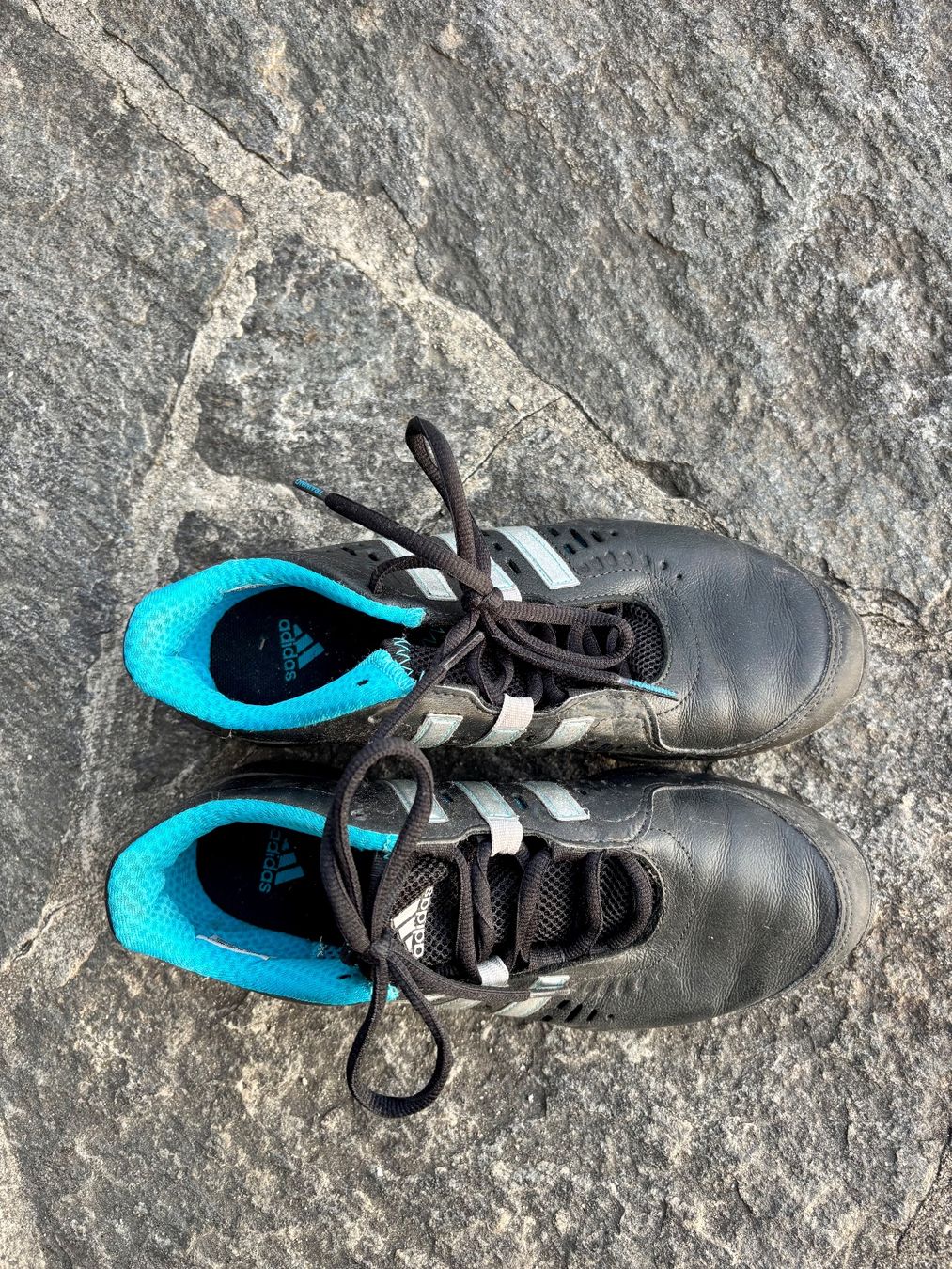 Adidas Scarpe da donna: Adidas Trainingsschuhe Gr. 36 2/3 – Usato da Bern venduto da Anis89 2