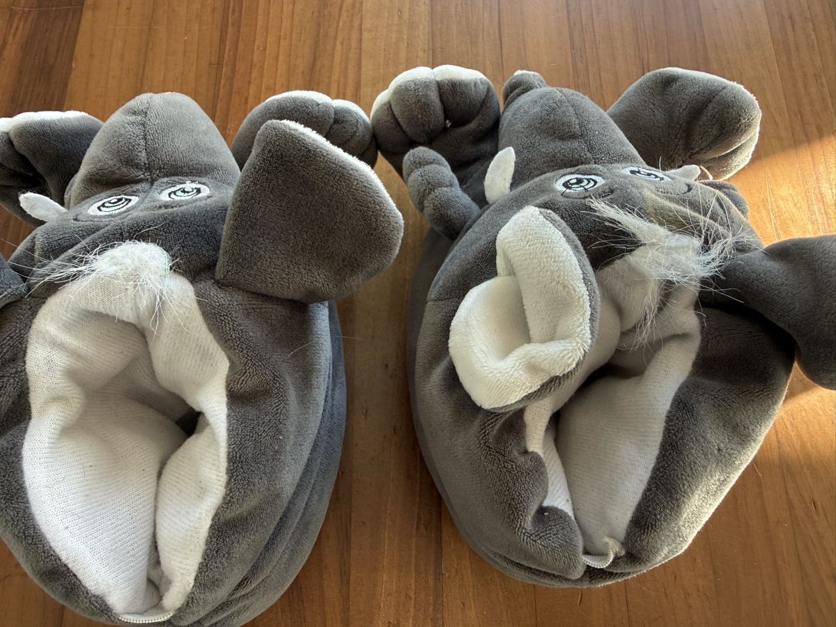 Chaussures garçon: Finken / Hausschuhe – D'occasion à Bern par estrellita2014 1