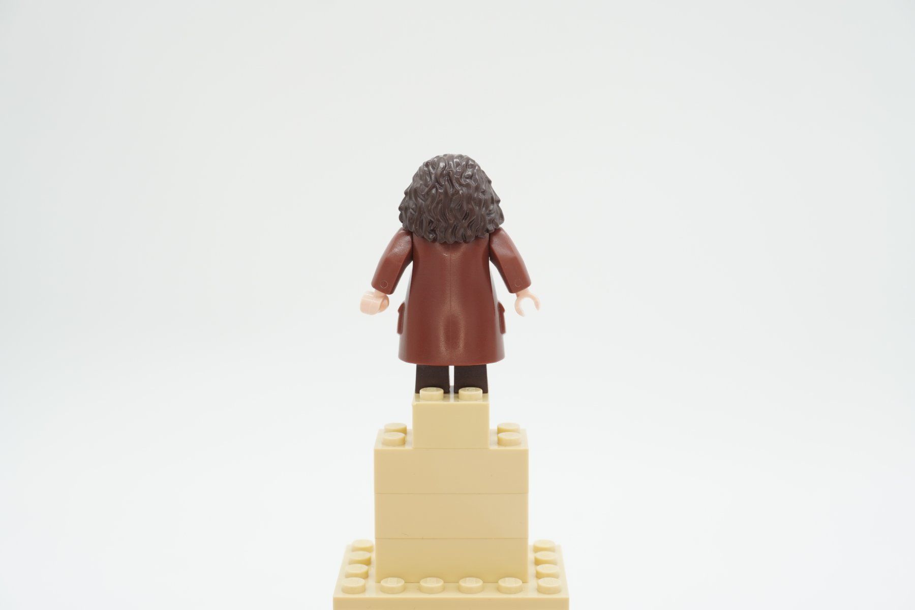 Lego Spielzeuge: Lego Harry Potter Rubeus Hagrid Bundle – Gebraucht aus Zürich von PWGrZ 4