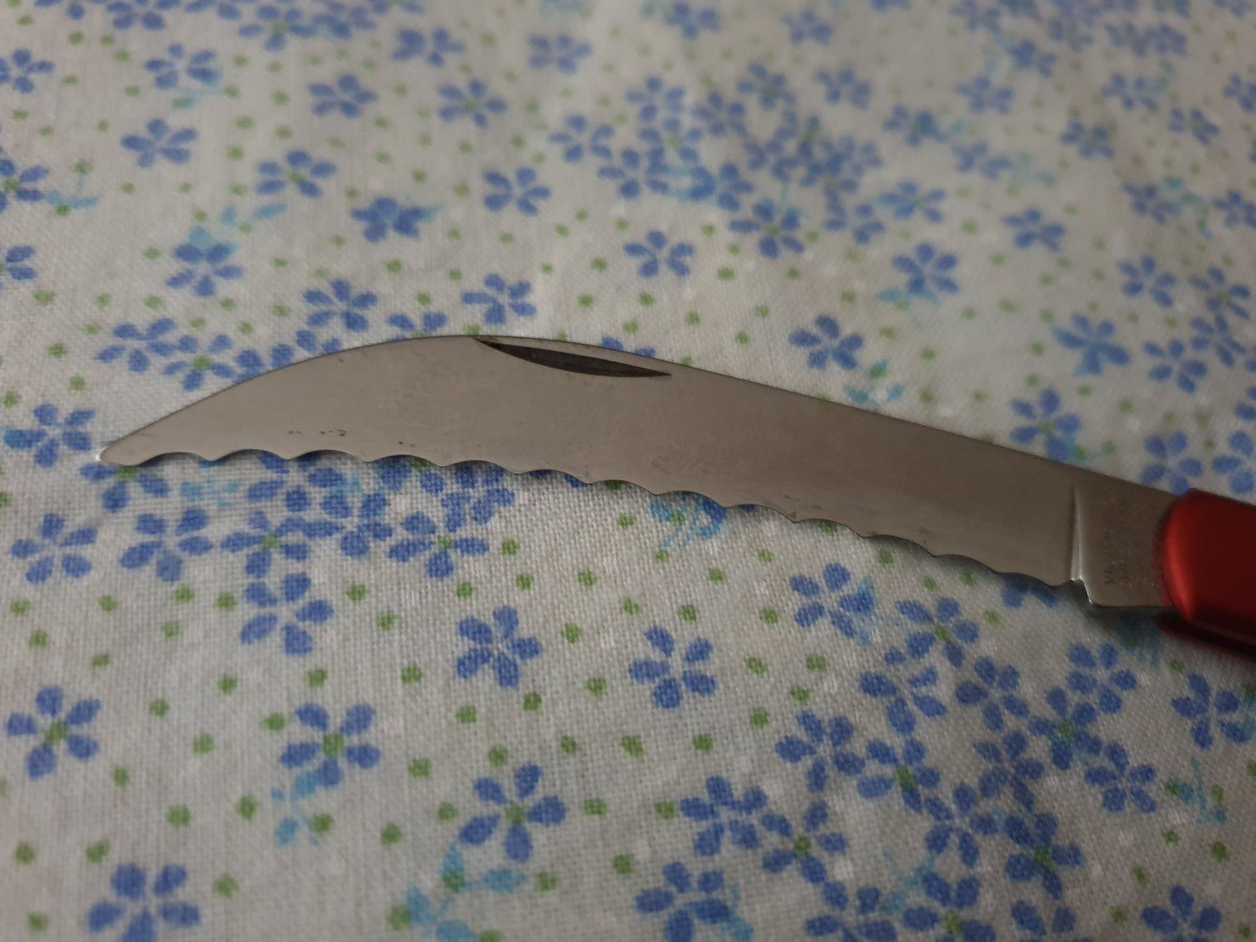 Victorinox Coltelli tascabile: Taschenmesser VICTORINOX – Usato da Mörschwil venduto da spirspi 3