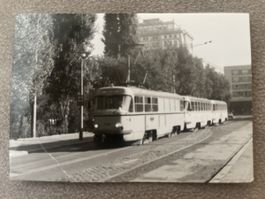 Magdeburg: Foto 10x7.5cm Strassenbahn Linie 6 Tw 706
