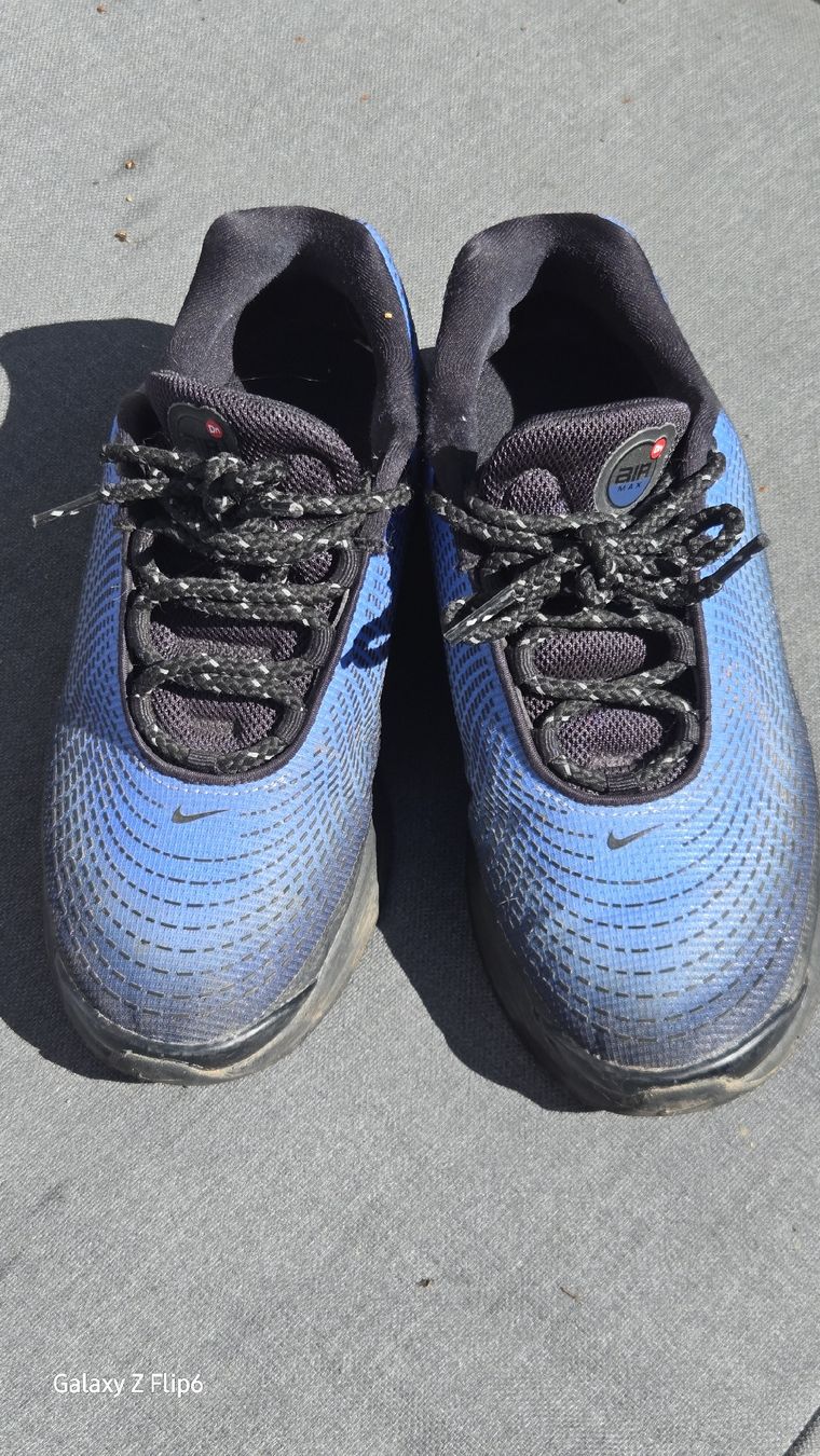 Nike Herrenschuhe: Nike Air Max Tn gr.38 – Gebraucht aus Zürich von Deesay