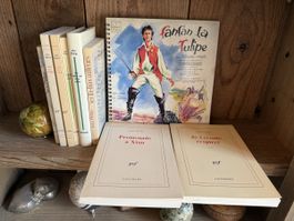 Lot livres Anne-Philippe - vinyl Fanfan Gérard Philippe