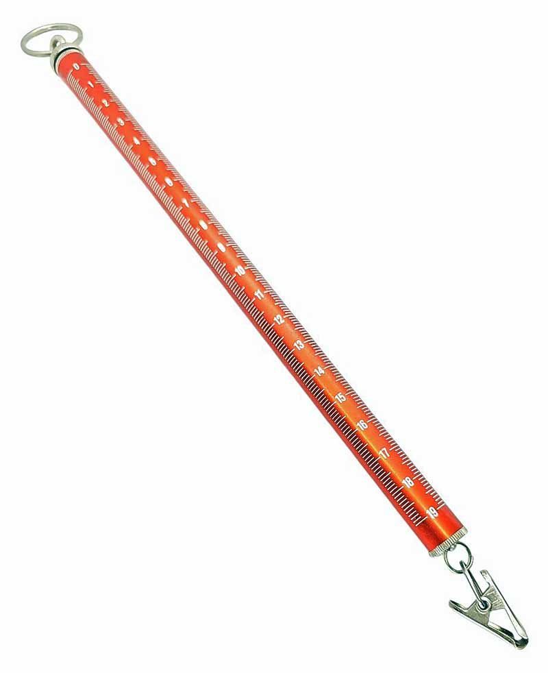 Accessori da laboratorio: Federwaage "PESOLA" 50 Gramm – Usato da Zug venduto da BAMBI51 3