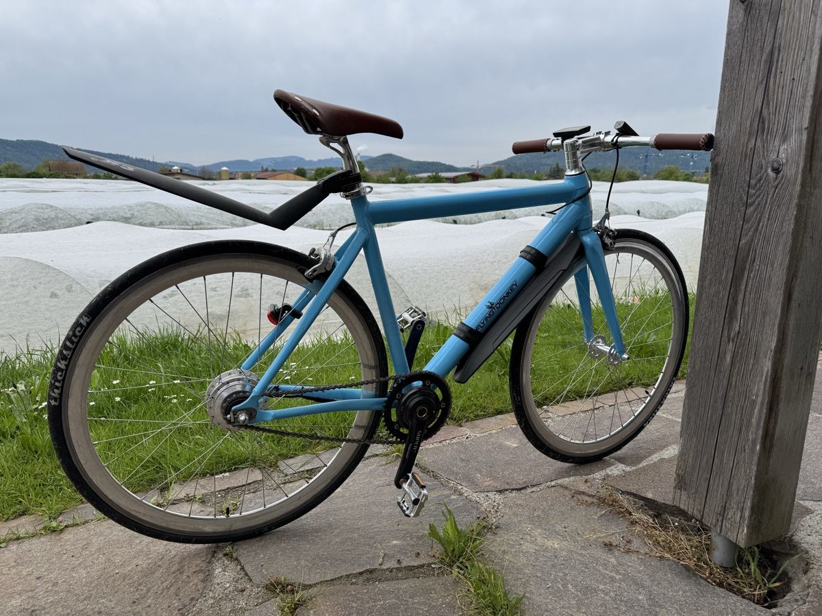 Biciclette: Flying Donkey singlespeed Pedelec E Bike – Difettoso da Strengelbach venduto da tartaruga87 2