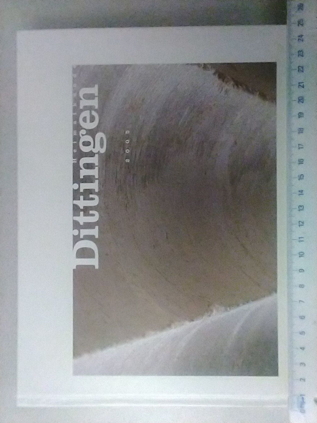 Libri: Heimakunde Dittingen, 2005 – Nuovo (secondo la descrizione) da Sissach venduto da Heimat_Buch 1