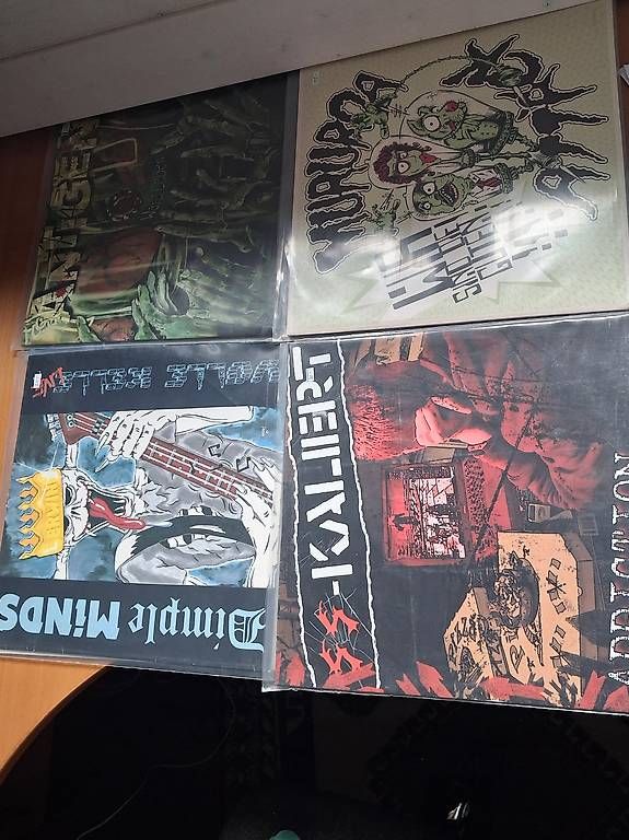 Dischi in vinile: Punk auf Vinyl von Deutschen Interpreten – Usato da Niederönz venduto da bea_fn77 1