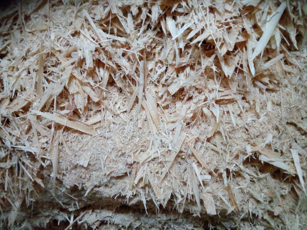 Holzspäne, Holzschnitzel (Tannenholz) Kaufen auf Ricardo