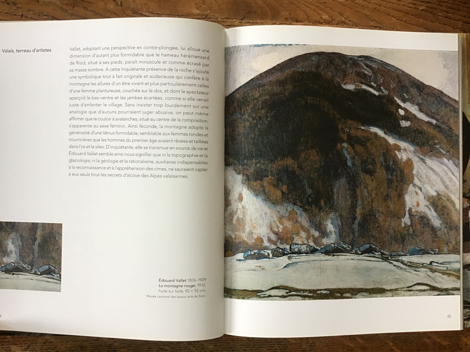 Libri: Les peintres en Valais – Usato da Fully venduto da Ruby97 5