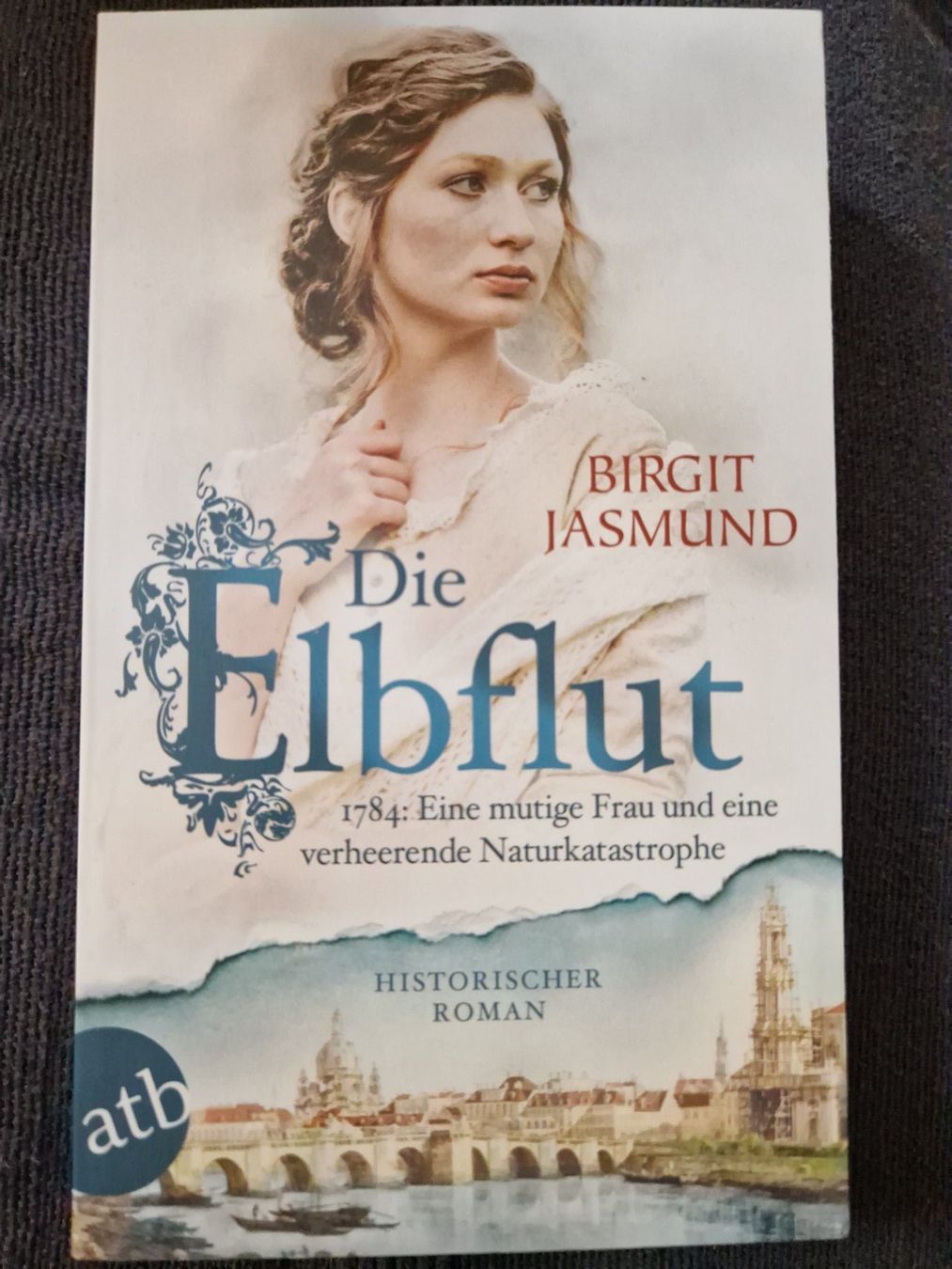 Bücher: Birgit Jasmund - Die Elbflut Historischer Roman – Gebraucht aus Neuhausen am Rheinfall von Alchimista