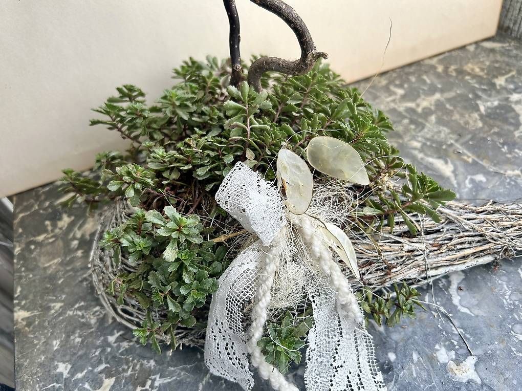 Bücher: Blumen im Herz  – Neu und originalverpackt aus Frauenfeld von Irene.Schuppli 4