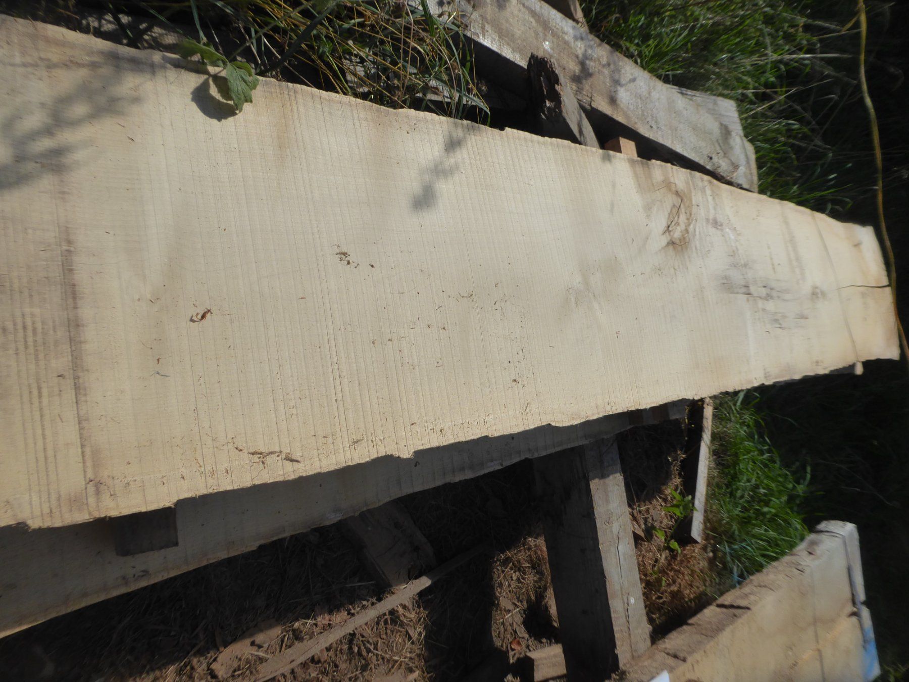 Articoli in legno: Eschenbrett 6 cm – Usato da Sumiswald venduto da Hennri1 2