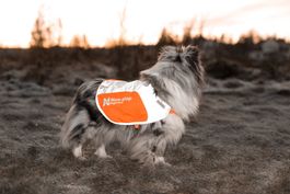 Non-Stop Dogwear Reflective blanket NEU XXS