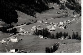Tamatten und Bidermatten