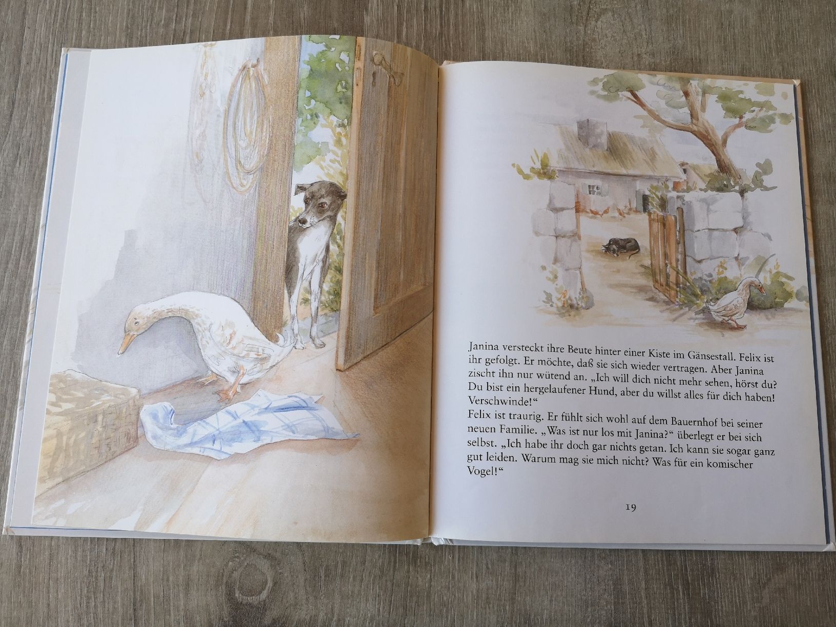 Libri: Felix und Janina Bilderbuch – Usato da Vordemwald venduto da Esel04 2