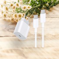 Câble d chargement Tipe C + Chargeur 20w