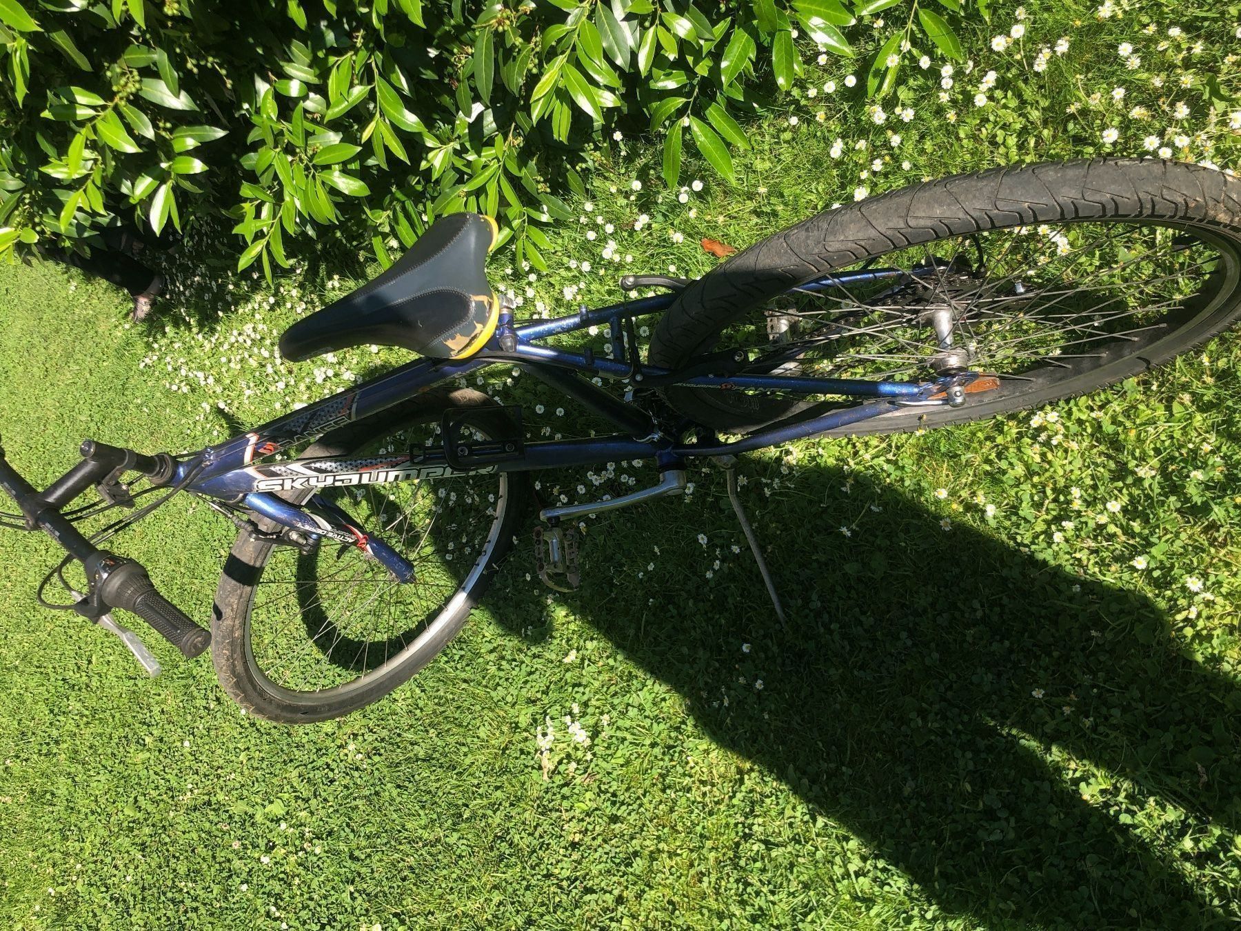 Biciclette: Fahrrad Skyjumper – Usato da Schlieren venduto da Flower5 2