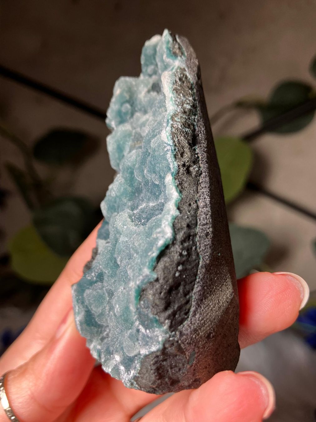 Minerali & Pietre curative: Grüner Chalcedon-Stalaktit – Nuovo (secondo la descrizione) da Neuheim venduto da m.hald 1