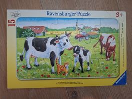 Puzzle +3