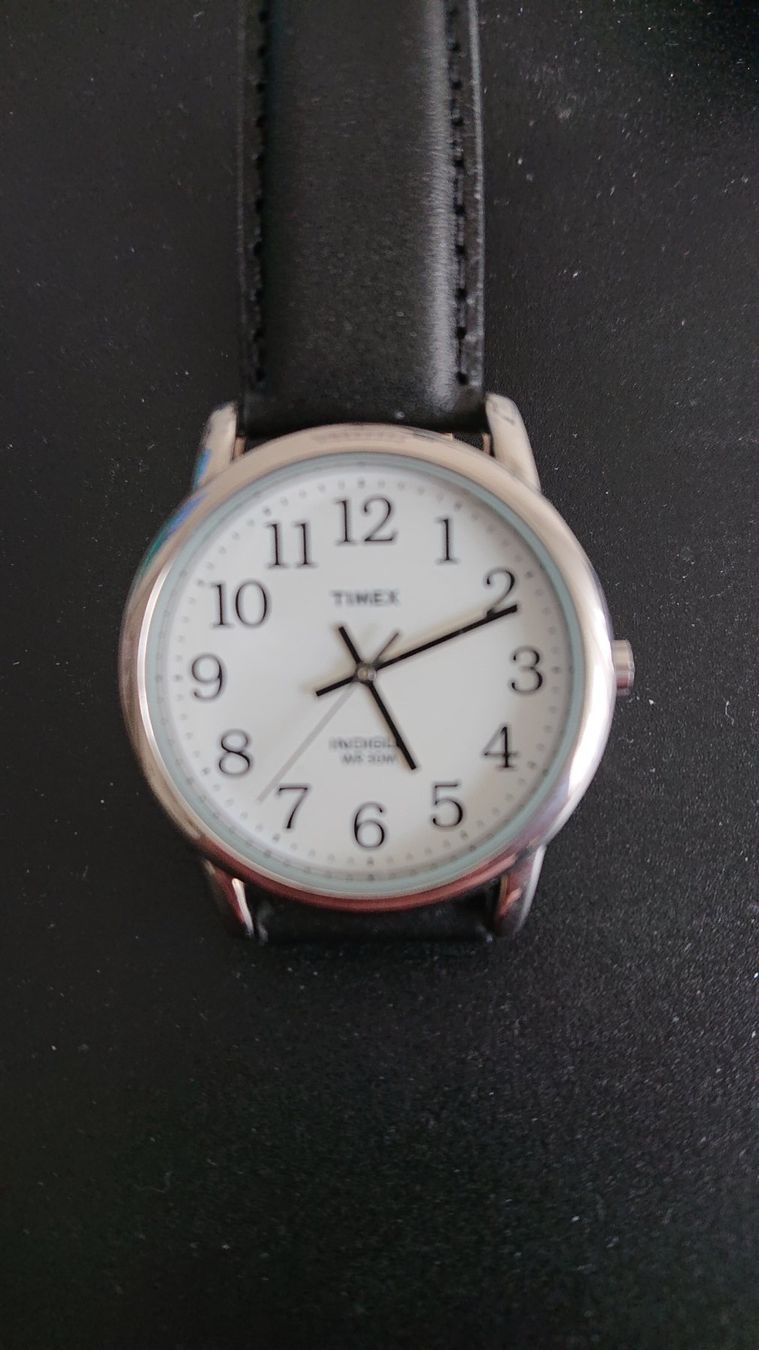 Timex Orologi: Timex Easy Reader – Nuovo (secondo la descrizione) da Biel/Bienne venduto da Watchfan