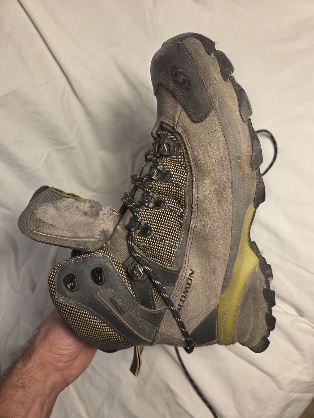 Salomon Chaussures hommes: Salomon Explorer GTX Wanderschuhe Gr. 40 – D'occasion à Köniz par TBFlohmi 2