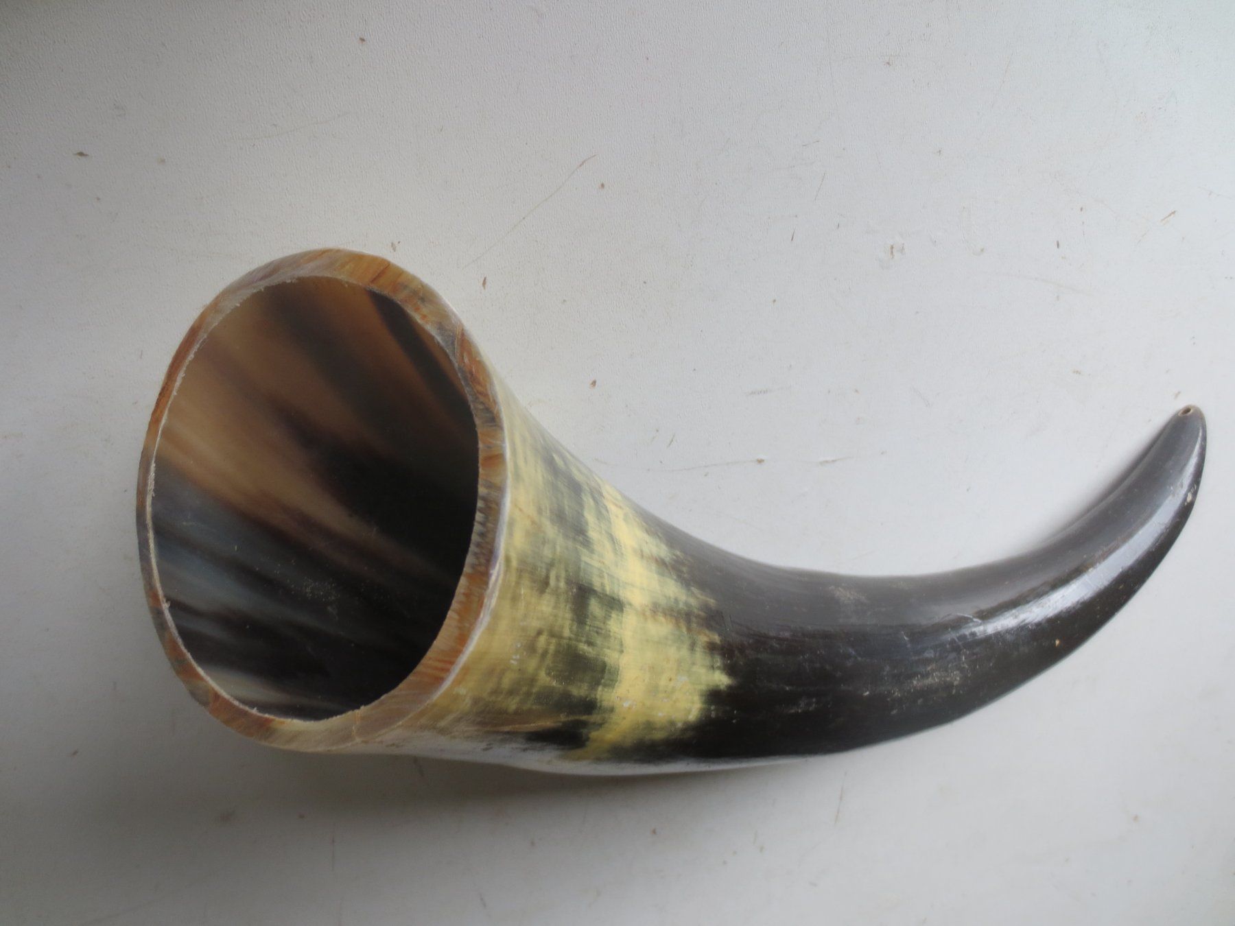 Tutti gli attrezzi: Horn – Usato da Weier im Emmental venduto da waefler03 2