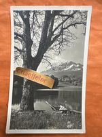 Vintage Postkarte Am Rotsee, Blick auf Pilatus, TOP!