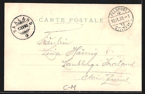 Cartoline postali: Präge-AK Schweiz, Wehrhafte Schweizer b – Usato da Berlin venduto da bartko-reher 1
