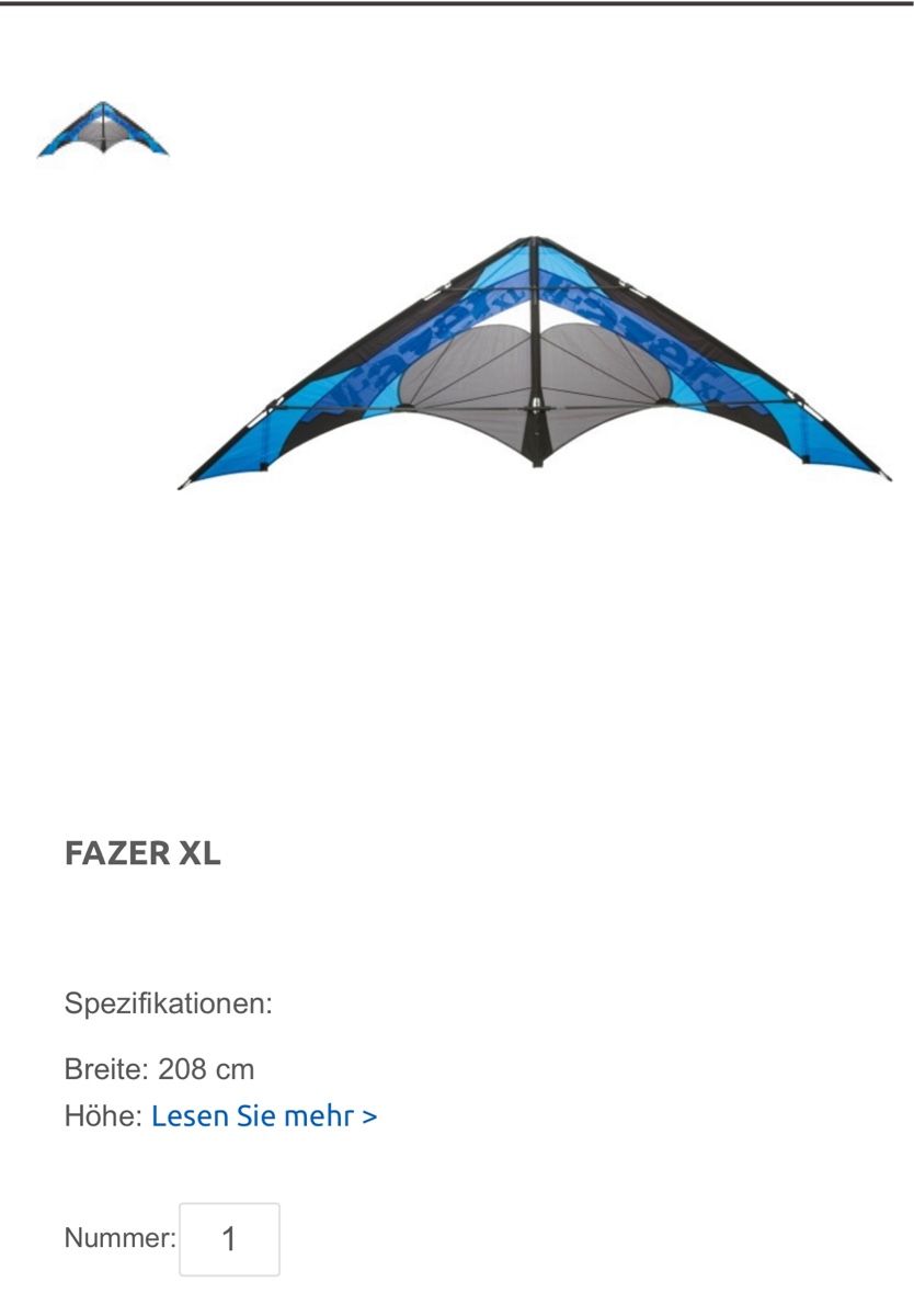 Altro in Decorazioni & Accessori: WindDrache XXL – Nuovo (secondo la descrizione) da Tafers venduto da 13julistek13 1