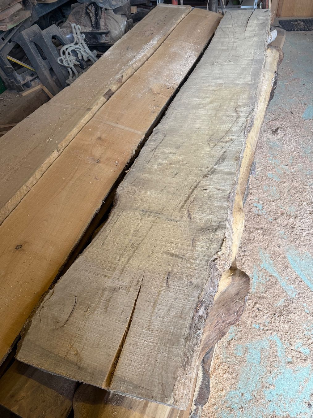 Articoli in legno: Flatterulme Bretter Stamm – Nuovo (secondo la descrizione) da Holziken venduto da Timbergrizzly 1