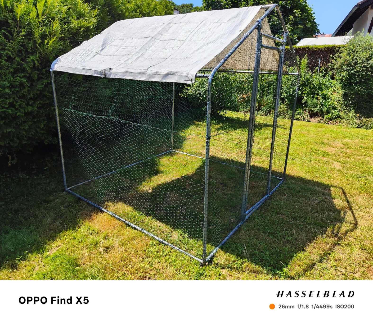 Cages, transport & sécurité: Hühnerstall – D'occasion à Spreitenbach par ego_bb8n 6