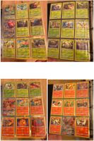 Pokémon Welten im Wandel Sammlung
