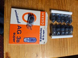 Bulbs Blitz AG 3B