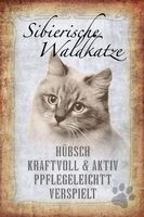 Blechschild-SIBIERISCHE WALDKATZE-STECKB