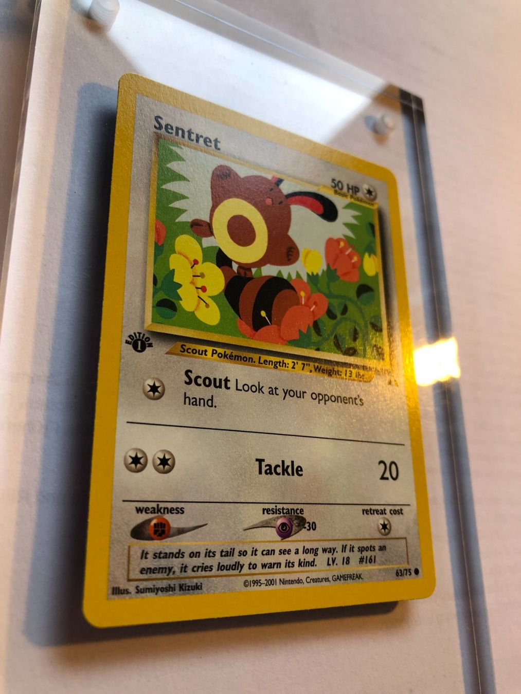 Carte collezionabili: Sentret 1st Neo Discovery - MINT - ab 1.- – Usato da Giubiasco venduto da dan_pr8b 1