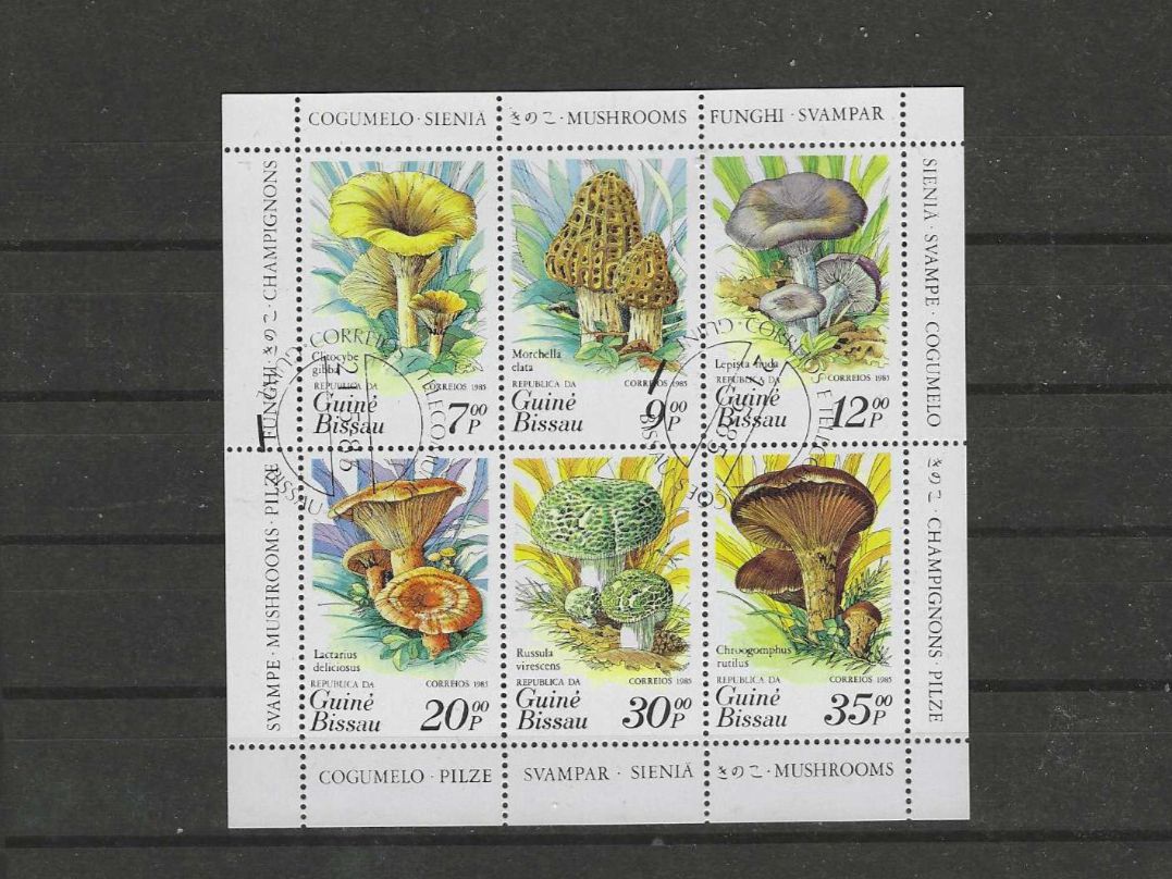 Tutti i francobolli: GUINEA-BISSAU 1985 GEST. PILZE – Usato da Dintikon venduto da bonita099