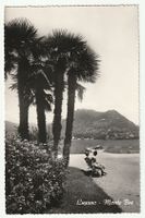 Postkarte Lugano - Monte Brè Palmen See, Gelaufen