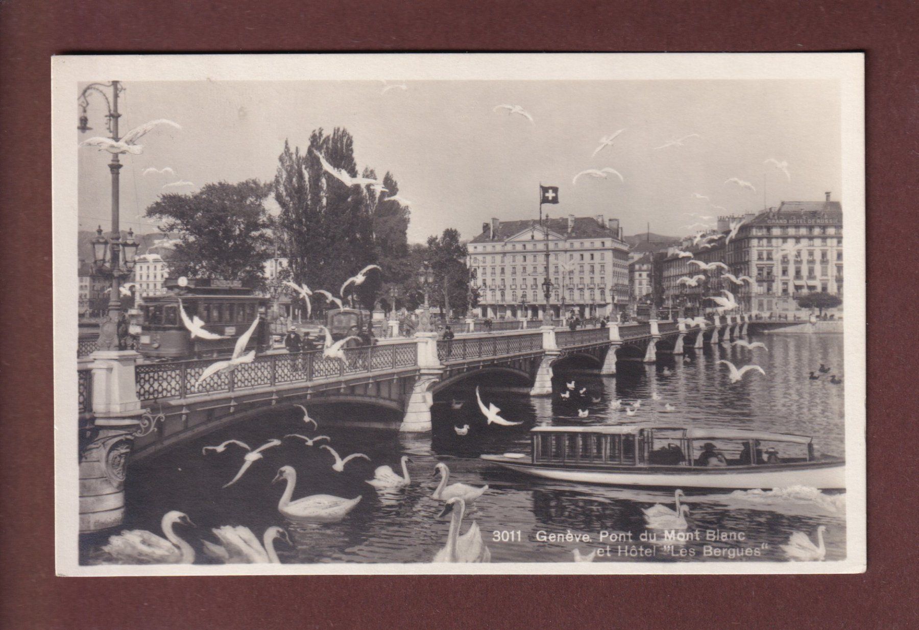 Cartes postales: GENEVE - Pont du Mont Blanc - Mouettes – D'occasion à Pully par nicecards-shop